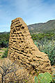 Baja - San Isidoro - Ruins - Adobe Walls