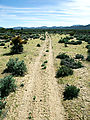 Baja - Sierra San Miguel - Alamos Quemados - Road