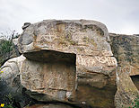 Baja - Petroglyphs - El Moral - Petroglyph Park - Petroglyphs