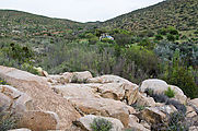 Baja - El Moral - Petroglyph Park - Petroglyphs