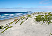 Baja - Bahía Santa Maria - El Pabellón Dunes - Beach - El Pabellón Dunes