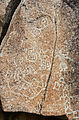 Baja - San Fernando Velicatá - Petroglyphs