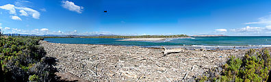 Baja - Estero San Marcos - Estuary