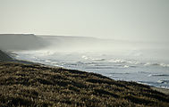 Baja - El Datilar - Beach - Morning