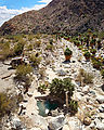 Baja - El Palomar Canyon - Aerial - Hot Spring - Pool - Palms