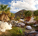 Baja - El Palomar Canyon - Hot Spring - Palms - Water