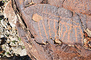 Cantu Palms - Petroglyphs