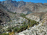 Baja - Palms - Aerial Baja - Palms - Aerial