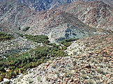 Baja - Palms - Aerial Baja - Palms - Aerial