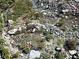 Baja - Cannabis Plants - Aerial - People Baja - Cannabis Plants - Aerial - People