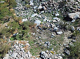 Baja - Cannabis Plants - Aerial Baja - Cannabis Plants - Aerial