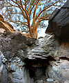 La Mora Canyon - Rocks - Little Cave Under Tree