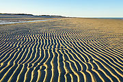 Estero Percebu - Shell Island - Sand Ripples - Beach