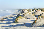 Vizcaino - Punta Abreojos - Estero la Bocana - Sand Bar - Beach - Dunes