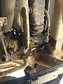 Baja - Sportsmobile - Radiator Leak