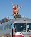 On Bus Making Bus Tent Out of Camo Netting