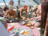 Grass Picnic Lunch