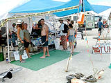 Men Cooking Yummy Fish