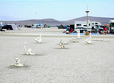 Playa Swimmers (photo by Mark)