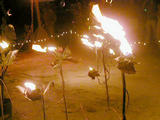 Fire Flowers