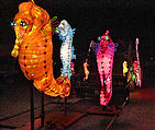 Glowing Seahorses (Aug 24)