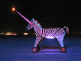 Zebra (Sunday Aug 29, 9:42 PM)