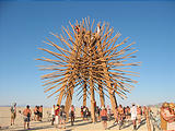 Starry Bamboo Mandala - Porcupine