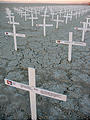 Crosses