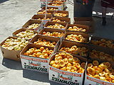 Orange Juice