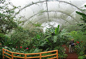 La Paz Waterfall Gardens - Butterfly Building (Dec 25, 2005 1:34 PM)