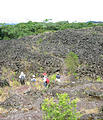 Arenal Lava Flow Hike (Dec 28, 2005 11:52 AM)