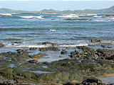 Tamarindo - Beach (photo by Dottie) (Jan 4, 2005)