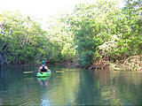 Tamarindo - Kayaking - Laura (Jan 4, 2005 4:47 PM)