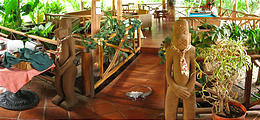 Tamarindo - Hotel Jardin del Eden - Iguana (Jan 6, 2005 9:28 AM)