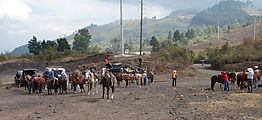 Pacaya - Volcano - Kids Selling Walking Sticks and Horse Rides