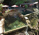 Fuentes Georginas - Hot Springs