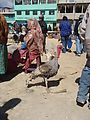 San Francisco El Alto - Market - Animals - Turkey