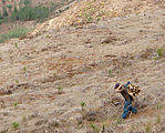 Hike north of San Juan Atitán - Woodcutters