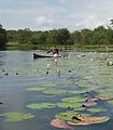 Río Dulce - Girl in Canoe