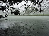 Río Dulce - Kayaking - Rain