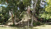 Tikal - Pyramid Ruin - Complex Q - An Unrestored Pyramid