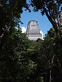 Tikal - Pyramid Ruin - Back of Temple III