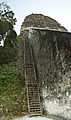 Tikal - Pyramid Ruin - Temple V - 100-ft. Wooden Access Ladder