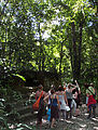 Tikal - Tour Group - Ruin
