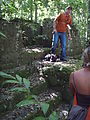 Tikal - Tourguide - Ruin