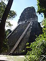 Tikal - Pyramid Ruin - Temple V