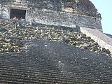 Tikal - Pyramid Ruin - Temple V - Unrestored Steps