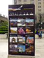 Raices - Roots - Museum Nacional de Arte