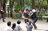 Park - Play Swordfighting