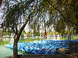 Chapultepec Park - Lake - Peddle Boats